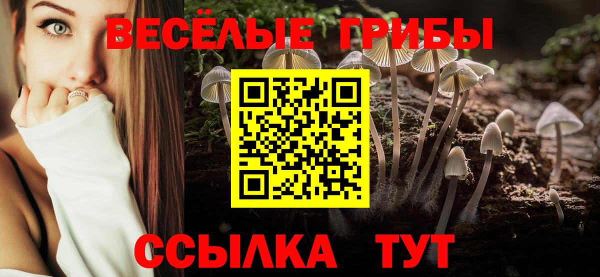 Галлюциногенные грибы мухоморы Ногинск
