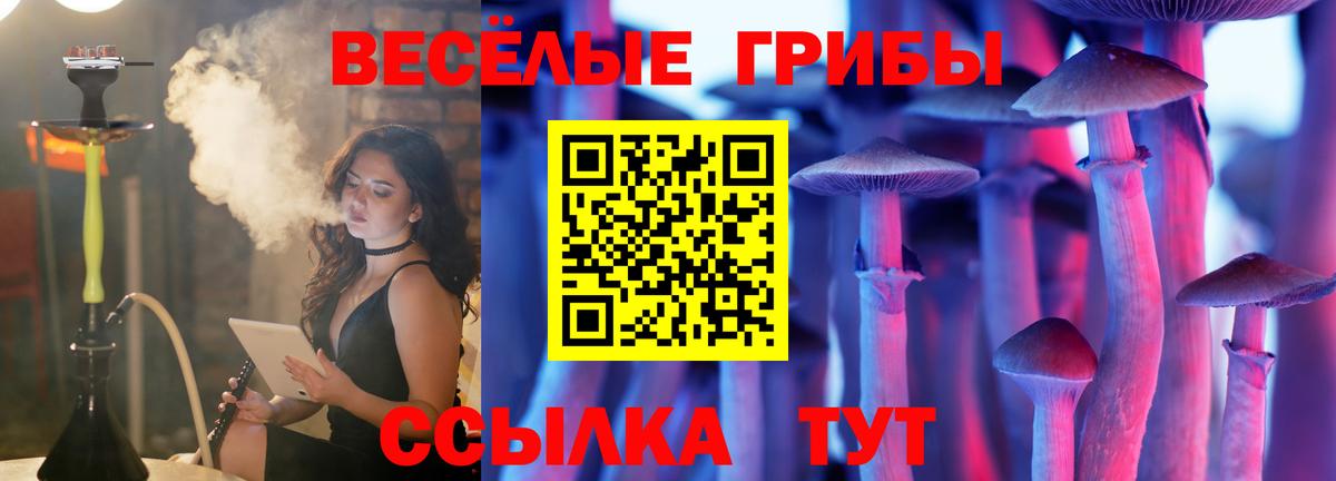 Ногинск  Галлюциногенные грибы Psilocybine cubensis  Вход с VPN 